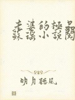 老婆的极品闺蜜苏瑶小说阅读封面