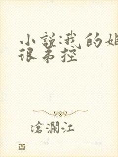 小说:我的姐姐很弟控封面