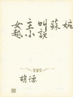 女主叫苏婉的穿越小说