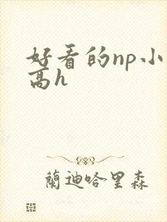 好看的np小说高h