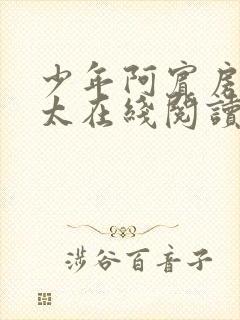 少年阿宾房东太太在线阅读