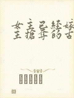 女主已经嫁人男主抢夺的古言封面