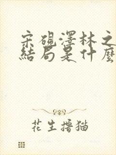 宋砚泽林之意大结局是什么