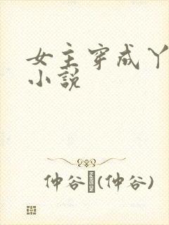 女主穿成丫鬟的小说