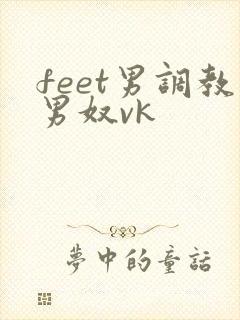 feet男调教男奴vk封面