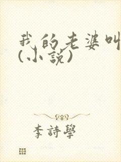 我的老婆叫武艳(小说)