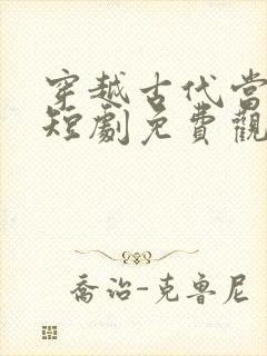 穿越古代当家丁短剧免费观看