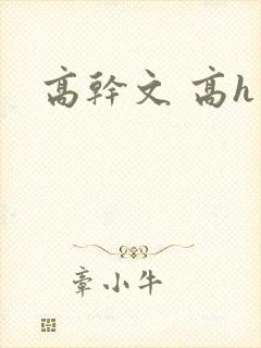 高干文 高h