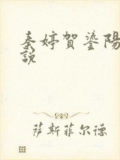 秦婷贺鎏阳的小说封面