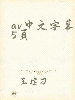 av中文字幕第5页