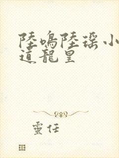 陆鸣陆瑶小说万道龙皇