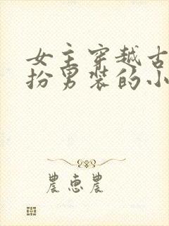 女主穿越古代女扮男装的小说