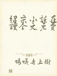 绍宋小说在线阅读全文免费