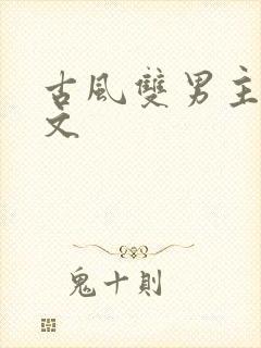 古风双男主高干文