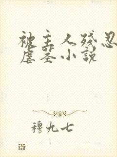 被主人残忍调教虐茎小说