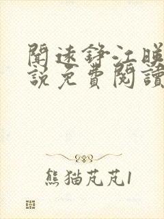 闻远铮江映秋小说免费阅读最新章节