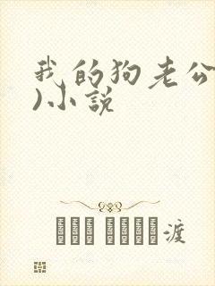 我的狗老公(七)小说封面