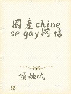 国产chinese gay网站