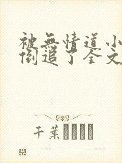 被无情道小师弟倒追了全文