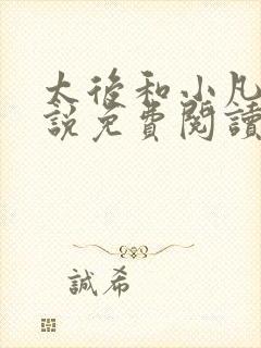 太后和小凡子小说免费阅读最新章节封面