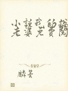 小说我的总裁大老婆免费阅读