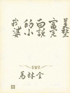 我的白富美的老婆小说完整版下载封面