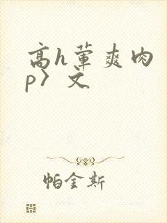 高h荤爽肉〈np〉文