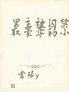 男主被囚禁被强取豪夺的小说笔趣阁