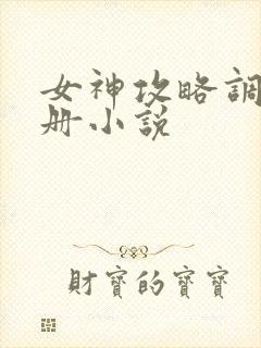 女神攻略调教手册小说封面