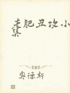 老肥丑攻小说合集