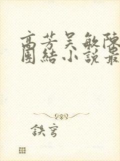 高芳吴敏陈娜大团结小说最新章节