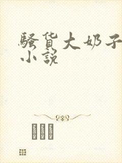 骚货大奶子言情小说