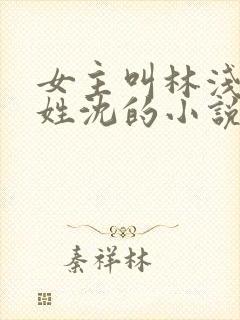 女主叫林浅男主姓沈的小说