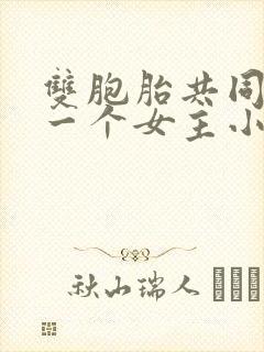 双胞胎共同享有一个女主小说封面