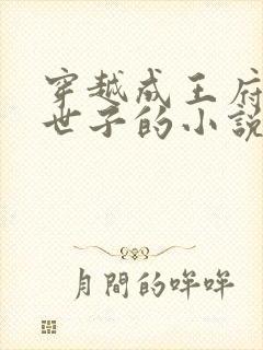 穿越成王府纨绔世子的小说