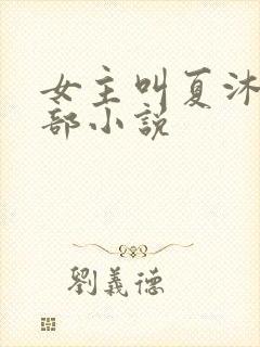 女主叫夏沐的全部小说