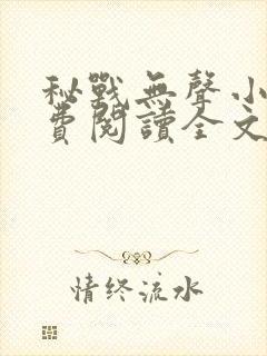秘战无声小说免费阅读全文