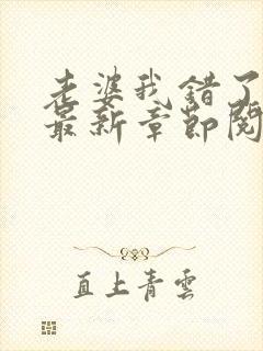 老婆我错了小说最新章节阅读全文封面