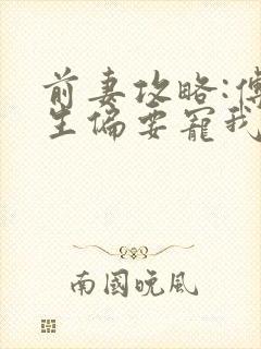 前妻攻略:傅先生偏要宠我的小说