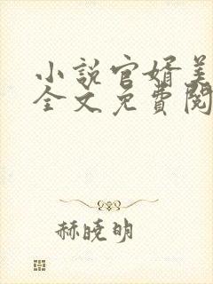 小说官婿美人香全文免费阅读