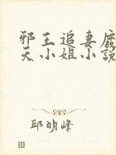 邪王追妻废材逆天小姐小说