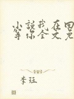 小说我在回忆里等你全文免费阅读