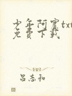 少年阿宾txt免费下载
