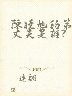 陈晓旭的第一任丈夫是谁?