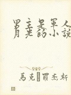 男主是军人有白月光的小说