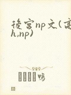 后宫np文(高h,np)
