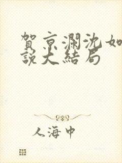 贺京澜沈如嫣小说大结局