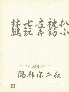 林七夜被扒开双腿玩弄的小说