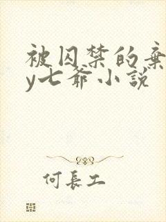 被囚禁的弃妃by七爷小说封面