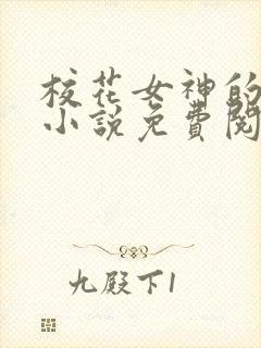 校花女神的堕落小说免费阅读无弹窗封面